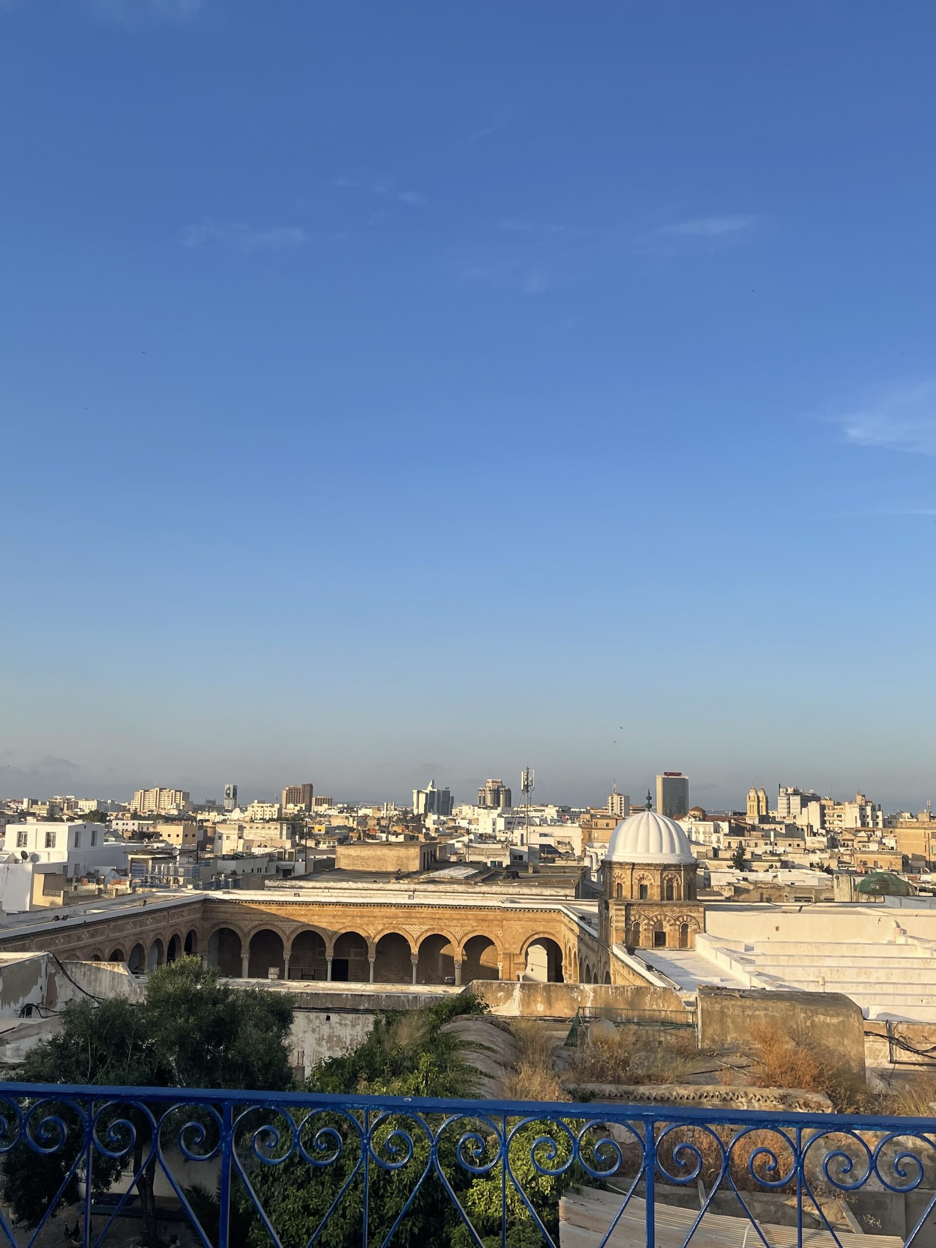 Medina Immersion